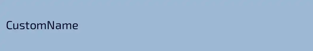 CustomName