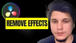 davinci resolve 19 remove effects from video