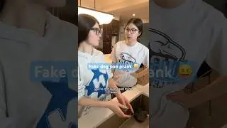 Fake dog poo prank 😝 