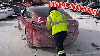 Watch this before buying Electric Car in Canada // Long Term Owner Experience