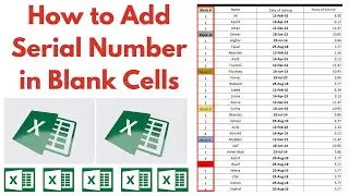 How to Add Serial Number in Blank Cells in Excel