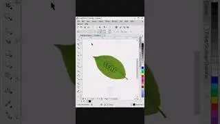Masking Object Leaf in CorelDraw 