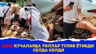 Кучаларда тиллалар тулиб ётибди селда келди