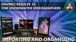 DaVinci Resolve for Underwater Videographers - Importing and Organizing