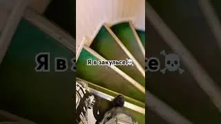 14 августа 2024 г.