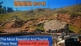 Sanasar Route,The Most beautiful place near Patnitop hill station||यहां हैं देखने के लिए बहुत कुछ🥰