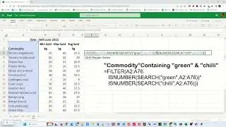 How to do partial match with FILTER function - Excel Tips and Tricks