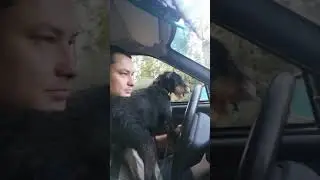 Наваливаем с собакой на ВАЗ 2112)
