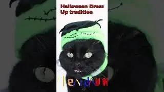 Best Dressed Halloween Pets #shorts 🎃 🐾 😈