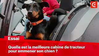 Quelle est la cabine de TRACTEUR préférée des CHIENS ?