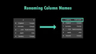 Renaming Column Names | Pandas | DataFrame