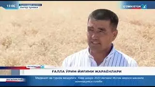 #Ғалла_2023