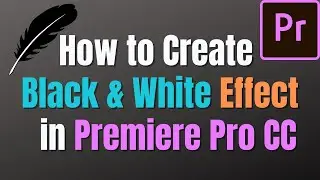 How to Create Black & White effect in Premiere Pro CC | Basic Video Editing Tutorial