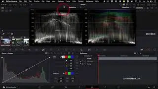 Access & Customize the Video Scopes in DaVinci Resolve 17