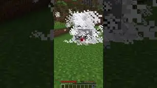 Pringles Suspicious Chips in Minecraft 😱 (real)
