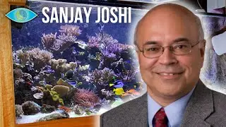 Tips after 30 YEARS of Reef Keeping - Sanjay Joshi