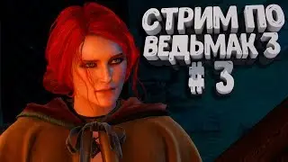 🔴 Ведьмак 3: Дикая Охота глубокое прохождение | Общение со зрителями | #3