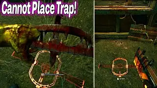 Trappers Traps Can Some Times Bug Out!