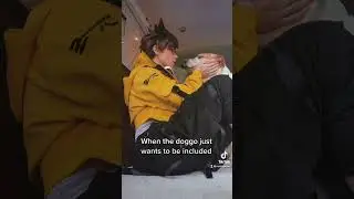 Tracer cosplay blooper with dog
