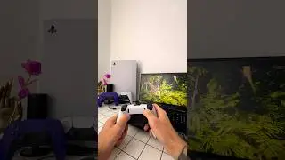 Стоит ли покупать DualSene Edge ? 
