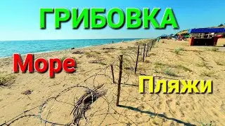 Грибовка пляжи. Одесская область. Лето 2023. Море. Туристы. Курорт. Леонидово. Санжейка. 