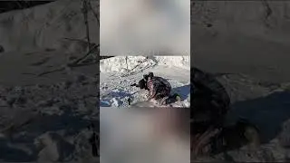 Зимняя рыбалка на Электронную удочку Спутник | рыбалка в России | 