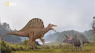 National Geographic - Spinosaurus Dinosaur Bigger Than T. Rex - New Documentary HD 2018