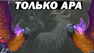 Потасовка . Только ара .Hearthstone . Победа . Гайд