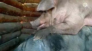 18+И все таки она не залетела. Рыжий в восторге.Опять любовь.