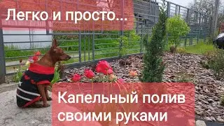 Капельный полив своими руками