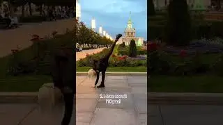 Учимся делать колесо на одной руке😻 