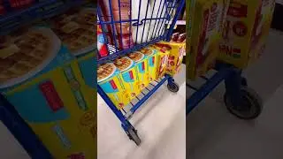 BI WEEKLY GROCERY HAUL FOR OUR BiG FAMiLY 🛒❄️ 
