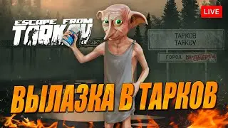 Выживание в Таркове