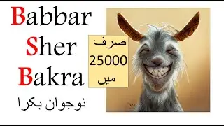 Babbar Sher Bakra | Punjabi Funny Poem | Khoobsoorat aur Sasta Bakra