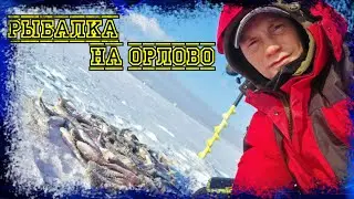 Как наловить Плотвы? Окунь и Плотва озера Орлово. Тактика закорма.  Супер клев!