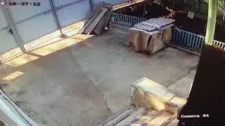 Сосед вор выносит вино