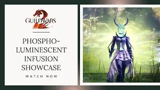 GW2 - Phospholuminescent Infusion Showcase -  Guild Wars 2