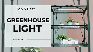 5 Best Greenhouse Lights [Reviews in 2023]