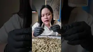 BASRENG ADA KARET NYA ??!! 
