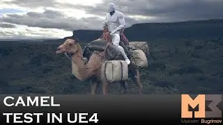 Camel Test In UE4