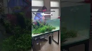 [из 2022] Сколько раз в день вы кормите своих рыбок❓🪱🤤 