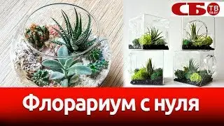 Как сделать флорариум