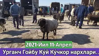 Ку́й Ку́чкор нархлари Урганч Гойбу мол бозори 2021-Йил 11-Апрел