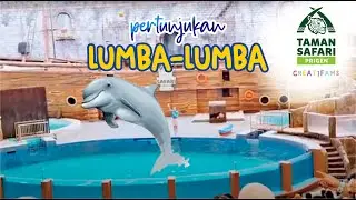 TAMAN SAFARI PRIGEN , PERTUNJUKAN LUMBA-LUMBA| PART 2
