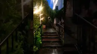 Сказочно дождливый Ярославль