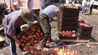 С «Привоза» изымают яблоки