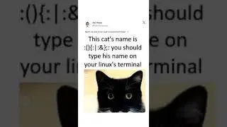 linux terminal