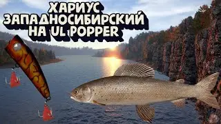 Хариус западносибирский + Горбуша + Ленок + Форель | р. Нижняя Тунгуска | Русская Рыбалка 4