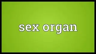 Sex organ Meaning