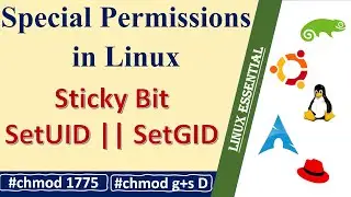 How to use Sticky bit in Linux || SetUID || SetGID || Linux Special Permissions